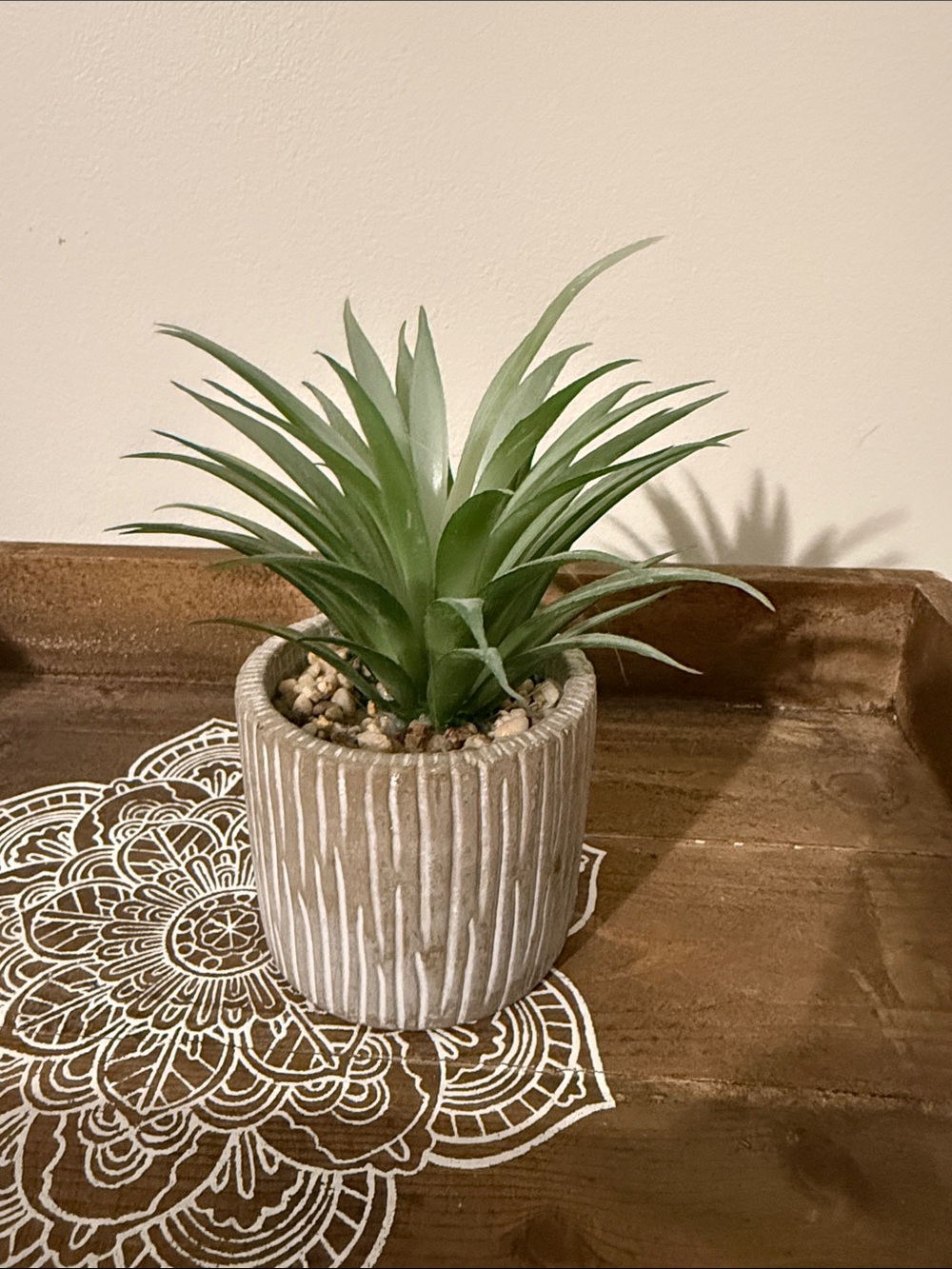 Green Faux Succulent in Textured Beige Planter - Home Accents